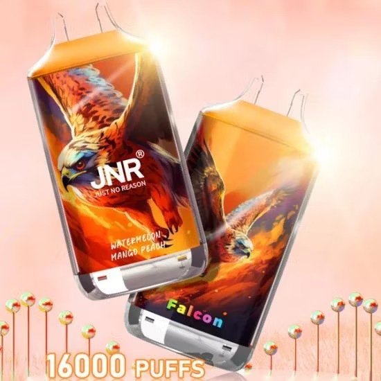 Disposable Electronic Cigarette Box JNR Falcon 16000 Vape Puffs – Sale only in batches of 200 Units (Minimum Order) thumbnail